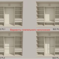 Шкаф-купе 2400 серии SOFT D5+D5+D5+B22+PL4 (по 2 ящика лев/прав+2штанги) профиль «Графит» в Соликамске - solikamsk.mebel24.online | фото 4