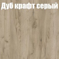 Шкаф-купе Бассо 1.0 (Дуб Крафт серый/Бетонный камень) 2 двери ЛДСП 1 зеркальная вставка в Соликамске - solikamsk.mebel24.online | фото 4