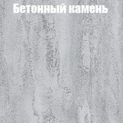 Шкаф-купе Бассо 1.0 (Дуб Крафт серый/Бетонный камень) 2 двери ЛДСП 2 зеркальные вставки в Соликамске - solikamsk.mebel24.online | фото 3