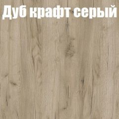 Шкаф-купе Эдем 1.5 (Дуб Крафт серый/Бетонный камень) двери ЛДСП вставка зеркало в Соликамске - solikamsk.mebel24.online | фото 4