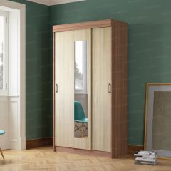 Шкаф-купе Эко (ЭРА) в Соликамске - solikamsk.mebel24.online | фото 2