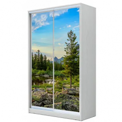 Шкаф-купе ХИТ 22-14-77 (620) в Соликамске - solikamsk.mebel24.online | фото 5