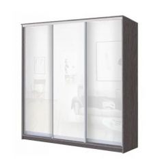 Шкаф-купе ХИТ 23-18-888 (620) в Соликамске - solikamsk.mebel24.online | фото 1