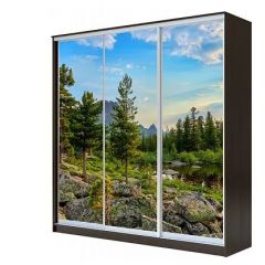 Шкаф-купе ХИТ 23-4-18-777 (420) в Соликамске - solikamsk.mebel24.online | фото 1