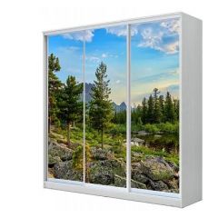 Шкаф-купе ХИТ 23-4-20/2-777 (420) в Соликамске - solikamsk.mebel24.online | фото