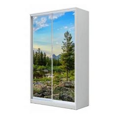 Шкаф-купе ХИТ 24-4-15-77 (420) в Соликамске - solikamsk.mebel24.online | фото