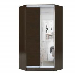 Шкаф-купе ХИТ-У-23-4-15 в Соликамске - solikamsk.mebel24.online | фото 1