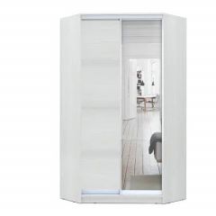 Шкаф-купе ХИТ-У-L-24-64-15 в Соликамске - solikamsk.mebel24.online | фото