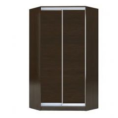 Шкаф-купе ХИТ-У-R-22-64-11 в Соликамске - solikamsk.mebel24.online | фото