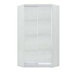 Шкаф-купе ХИТ-У-R-24-64-11 в Соликамске - solikamsk.mebel24.online | фото