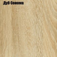 Шкаф-купе Лофт 1200 Шк12-47 (Дуб Сонома) в Соликамске - solikamsk.mebel24.online | фото 4