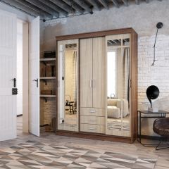 Шкаф-купе Лорд (ЭРА) в Соликамске - solikamsk.mebel24.online | фото