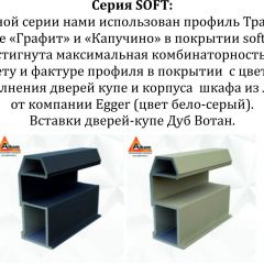 Шкаф-купе 1400 серии SOFT D1+D3+B2+PL1 (2 ящика+1штанга) профиль «Графит» в Соликамске - solikamsk.mebel24.online | фото 5