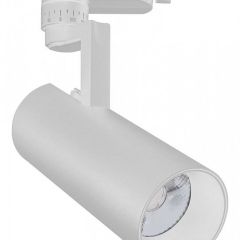 Светильник на штанге Escada 20029 20029TRA/01LED SWH в Соликамске - solikamsk.mebel24.online | фото