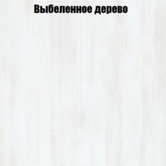 Вешалка V3 в Соликамске - solikamsk.mebel24.online | фото 4