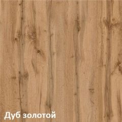 Вуди Шкаф для одежды 13.138 в Соликамске - solikamsk.mebel24.online | фото 4