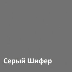 Юнона Шкаф торцевой 13.221 в Соликамске - solikamsk.mebel24.online | фото 2