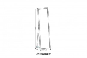 АЛЕКСАНДРИЯ-9.1 Зеркало напольное в Соликамске - solikamsk.mebel24.online | фото 2