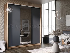 АЛЬЯНС Шкаф-купе 1,5 в Соликамске - solikamsk.mebel24.online | фото
