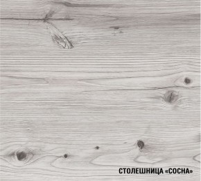 АСАЯ Кухонный гарнитур Экстра 2 (3000 мм) ПМ в Соликамске - solikamsk.mebel24.online | фото 8