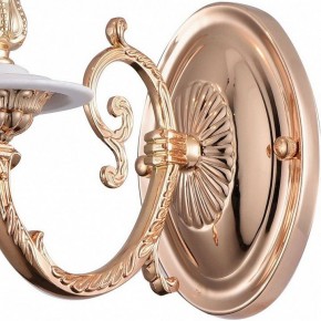 Бра Arte Lamp 8020 A8020AP-1WG в Соликамске - solikamsk.mebel24.online | фото 4