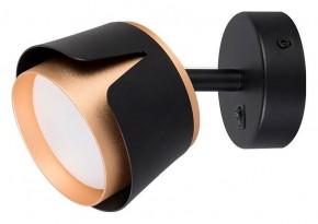 Бра Arte Lamp Amaks A8028AP-1BK в Соликамске - solikamsk.mebel24.online | фото