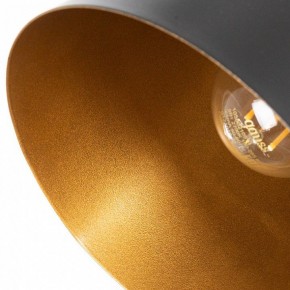 Бра Arte Lamp Thomas A7032AP-1BK в Соликамске - solikamsk.mebel24.online | фото 10