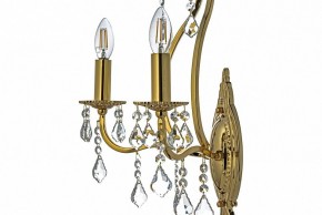 Бра Arti Lampadari Ercolano Ercolano E 2.1.2.602 G в Соликамске - solikamsk.mebel24.online | фото 6