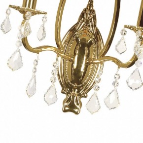 Бра Arti Lampadari Ercolano Ercolano E 2.1.2.602 G в Соликамске - solikamsk.mebel24.online | фото 7