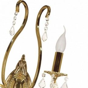 Бра Arti Lampadari Ercolano Ercolano E 2.1.2.602 G в Соликамске - solikamsk.mebel24.online | фото 8