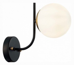 Бра EVOLUCE Ciane SLE1098-401-01 в Соликамске - solikamsk.mebel24.online | фото 3