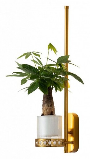 Бра Favourite Greenery 4050-1W в Соликамске - solikamsk.mebel24.online | фото 3