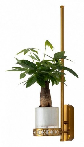 Бра Favourite Greenery 4050-1W в Соликамске - solikamsk.mebel24.online | фото 4