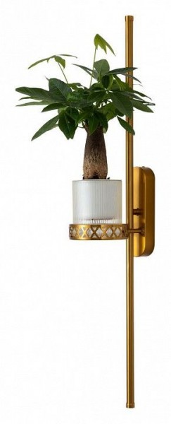 Бра Favourite Greenery 4050-2W в Соликамске - solikamsk.mebel24.online | фото 11