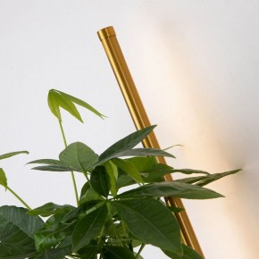 Бра Favourite Greenery 4050-2W в Соликамске - solikamsk.mebel24.online | фото 13