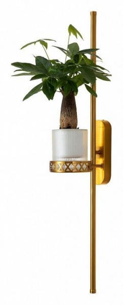 Бра Favourite Greenery 4050-2W в Соликамске - solikamsk.mebel24.online | фото 3