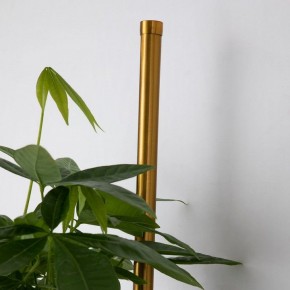 Бра Favourite Greenery 4050-2W в Соликамске - solikamsk.mebel24.online | фото 8
