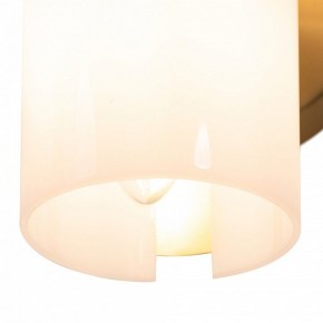 Бра Freya Fiore FR5368WL-02BS в Соликамске - solikamsk.mebel24.online | фото 7