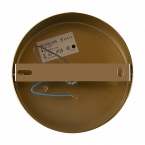 Бра Freya Zelda FR5124WL-01BS в Соликамске - solikamsk.mebel24.online | фото 6