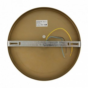 Бра Freya Zelda FR5125WL-01BS в Соликамске - solikamsk.mebel24.online | фото 6