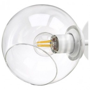 Бра Lightstar Beta 785626 в Соликамске - solikamsk.mebel24.online | фото 4