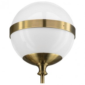 Бра Lightstar Globo 813611 в Соликамске - solikamsk.mebel24.online | фото 3