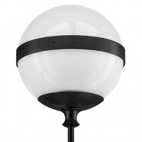 Бра Lightstar Globo 813617 в Соликамске - solikamsk.mebel24.online | фото 3