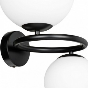 Бра Lightstar Globo 815627 в Соликамске - solikamsk.mebel24.online | фото 5