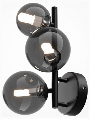 Бра Maytoni Dallas MOD545WL-03B в Соликамске - solikamsk.mebel24.online | фото 2