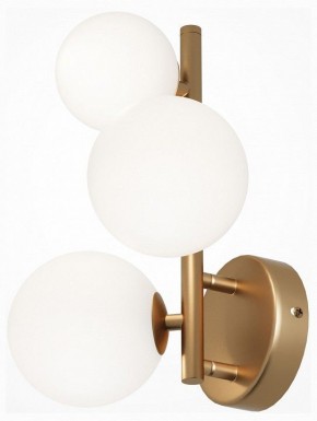 Бра Maytoni Dallas MOD545WL-03BS в Соликамске - solikamsk.mebel24.online | фото 2