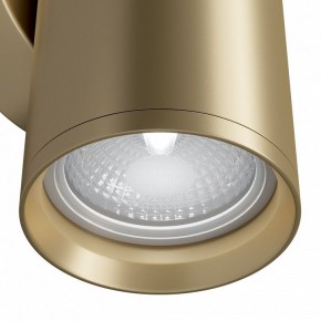 Бра Maytoni Focus S C068WL-02MG в Соликамске - solikamsk.mebel24.online | фото 4