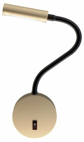 Бра Maytoni Stem C035WL-L3MG3K в Соликамске - solikamsk.mebel24.online | фото