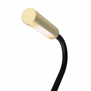 Бра Maytoni Stem C035WL-L3MG3K в Соликамске - solikamsk.mebel24.online | фото 6