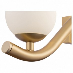 Бра Maytoni Uva MOD059WL-05G в Соликамске - solikamsk.mebel24.online | фото 3